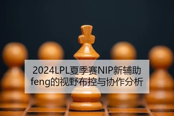 xia-ji-sai-xin-fu-zhu-de-shi-ye-bu-kong-yu-xie-zuo-fen-xi-2-243.jpg