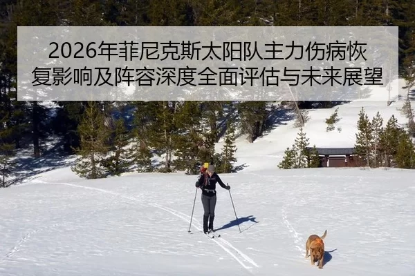 2026年菲尼克斯太阳队主力伤病恢复影响及阵容深度全面评估与未来展望