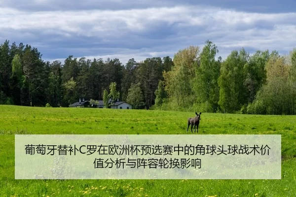 pu-tao-ya-ti-bu-luo-zai-ou-zhou-bei-yu-xuan-sai-zhong-de-jiao-qiu-tou-qiu-zhan-shu-jia-zhi-fen-xi-yu-zhen-rong-lun-huan-2-809.jpg